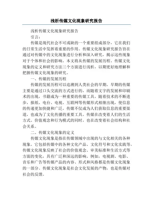 浅析传媒文化现象研究报告
