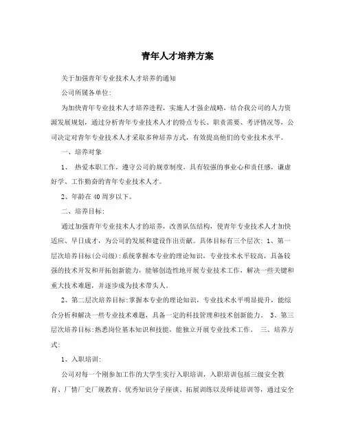 青年人才培养方案