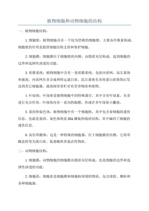 植物细胞和动物细胞的结构