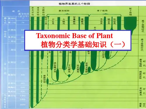 生物竞赛辅导--植物分类(一)