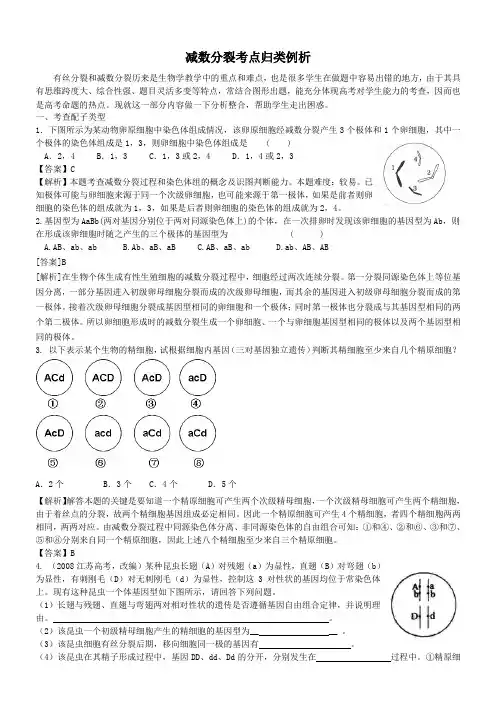 高考热点 生物减数分裂考查点归类例析