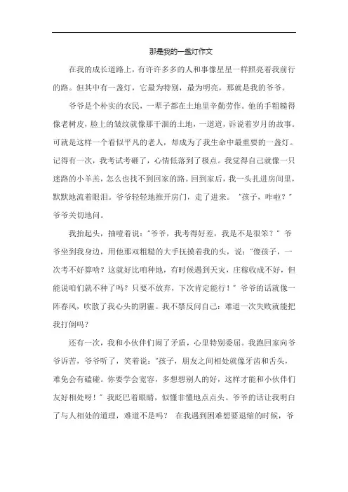 那是我的一盏灯作文