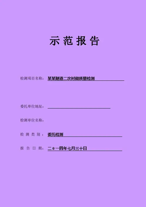某隧道二衬检测报告范本【范本模板】
