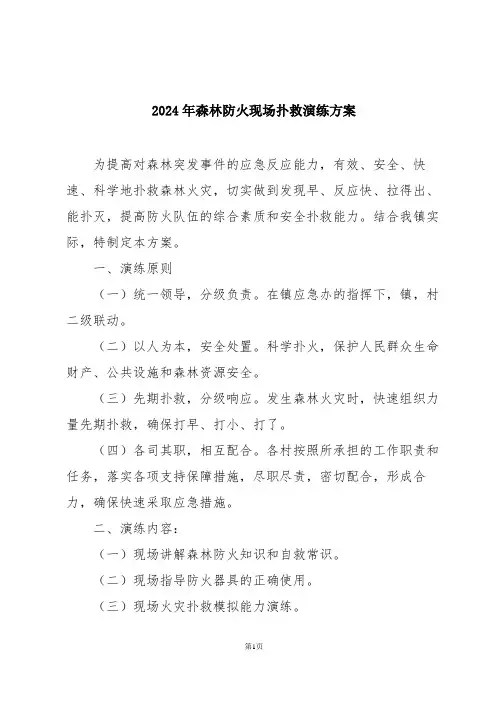 2024年森林防火现场扑救演练方案