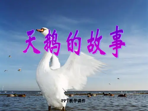 小学四年级下学期语文《天鹅的故事》PPT课件