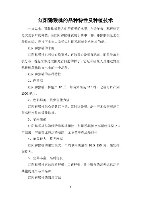 红阳猕猴桃的品种特性及种植技术