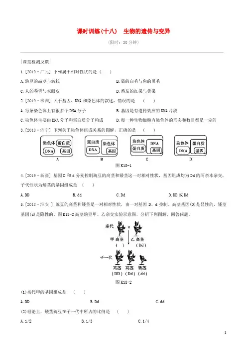 徐州专版2020中考生物复习方案第七单元生命的延续与进化课时训练18生物的遗传与变异试题