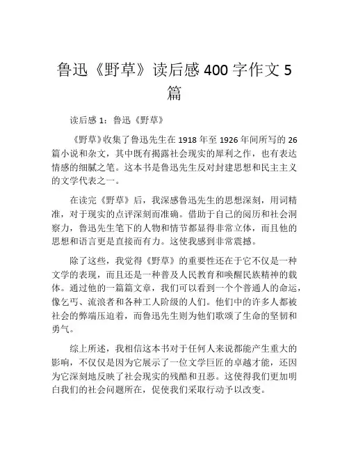 鲁迅《野草》读后感400字作文5篇