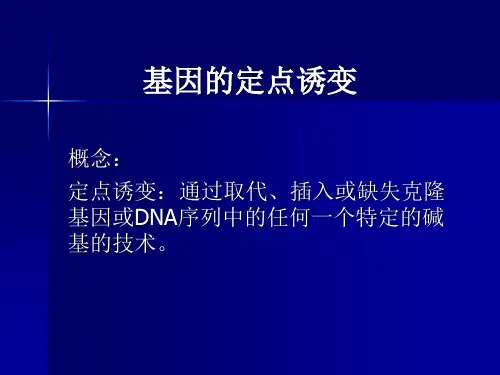 第五讲基因定点诱变PCR技术