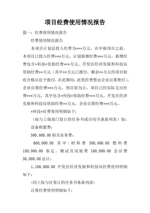 项目经费使用情况报告