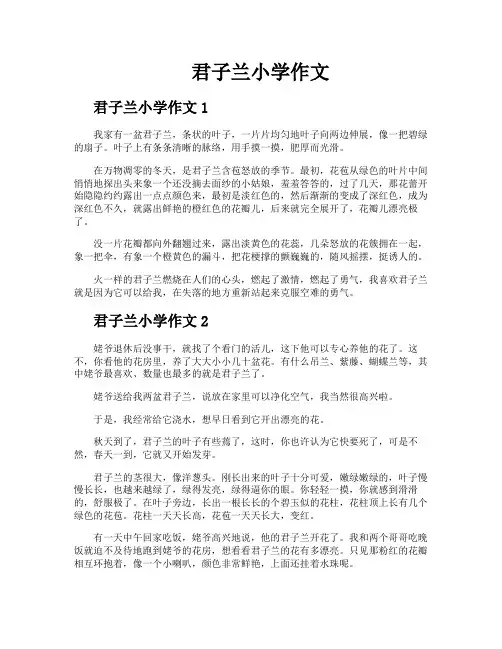 君子兰小学作文
