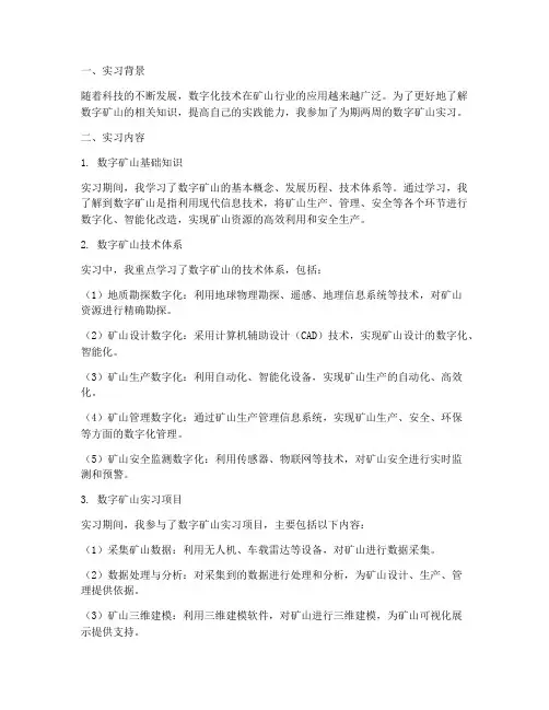 数字矿山实习报告