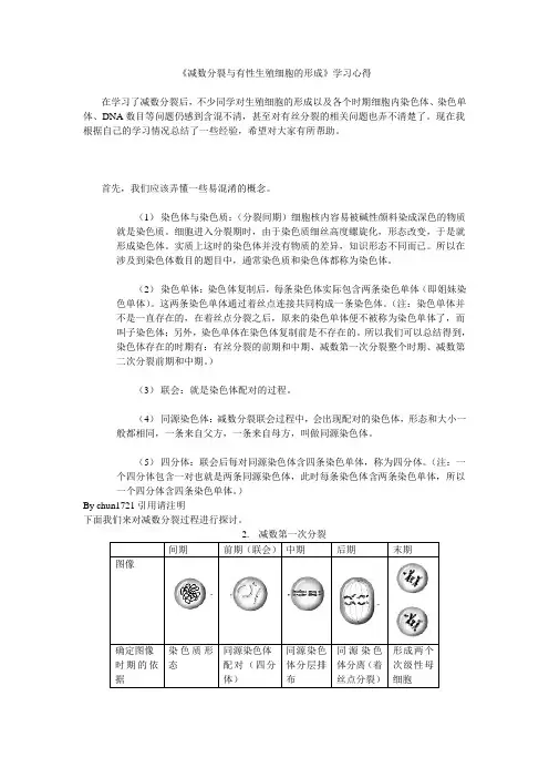 《减数分裂与有性生殖细胞的形成》学习心得
