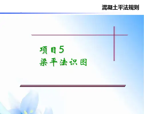梁平法识图