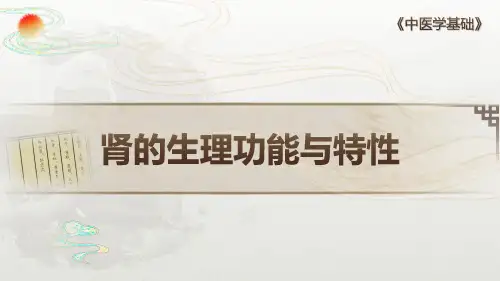 藏象 五脏 肾的生理功能与特性 中医学基础课件