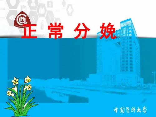 正常分娩(-精品医学课件)