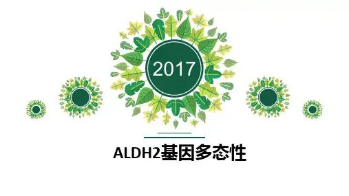 ALDH2基因多态性ppt课件