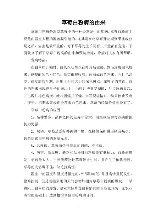 草莓白粉病的由来