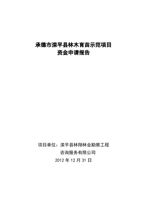 资金申请报告