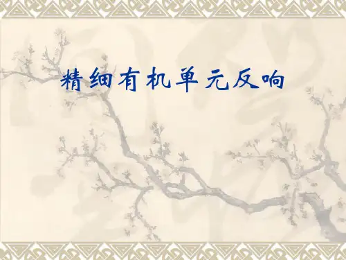 《精细有机单元反应》PPT课件