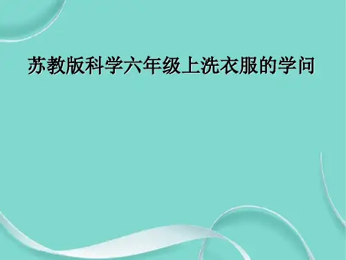 苏教版科学六级上洗衣服的学问