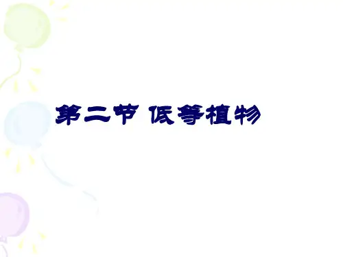 低等植物