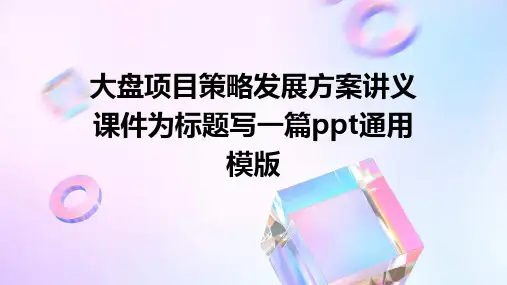 大盘项目策略发展方案讲义课件