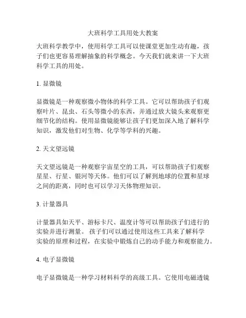 大班科学工具用处大教案