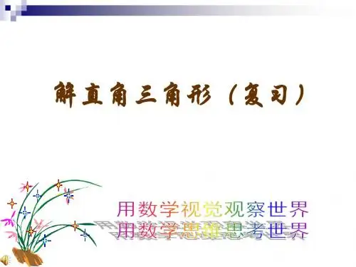 解直角三角形及其应用复习
