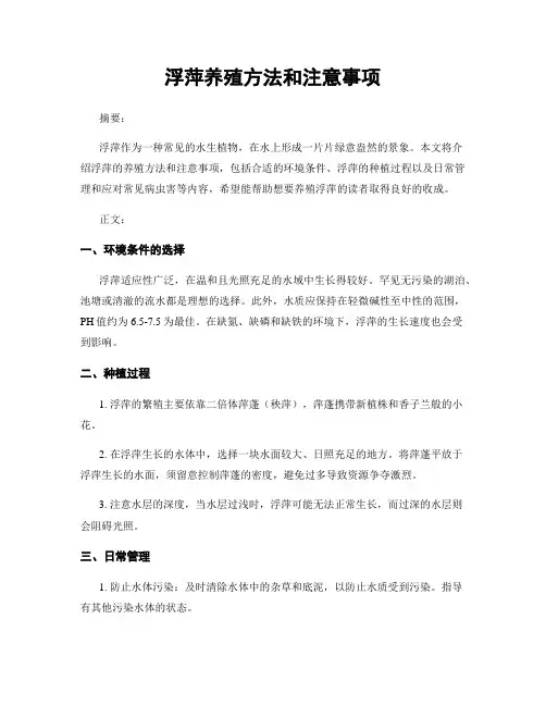 浮萍养殖方法和注意事项
