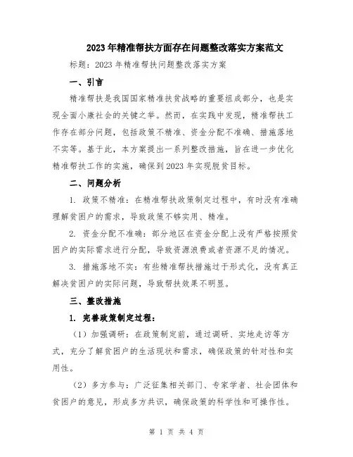 2023年精准帮扶方面存在问题整改落实方案范文