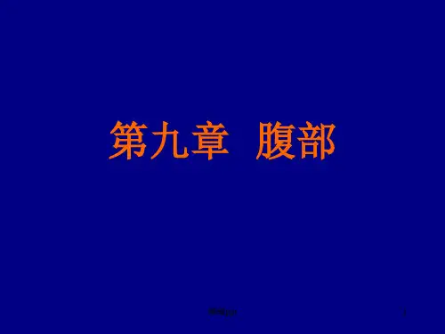 腹部平片诊断