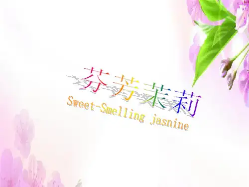 六年级上册音乐课件 第1课《芬芳茉莉》｜人音版(简谱)(秋) (共23张PPT)