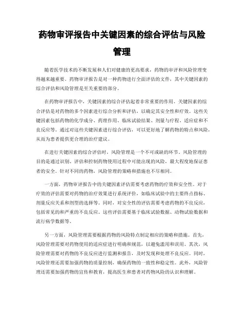 药物审评报告中关键因素的综合评估与风险管理