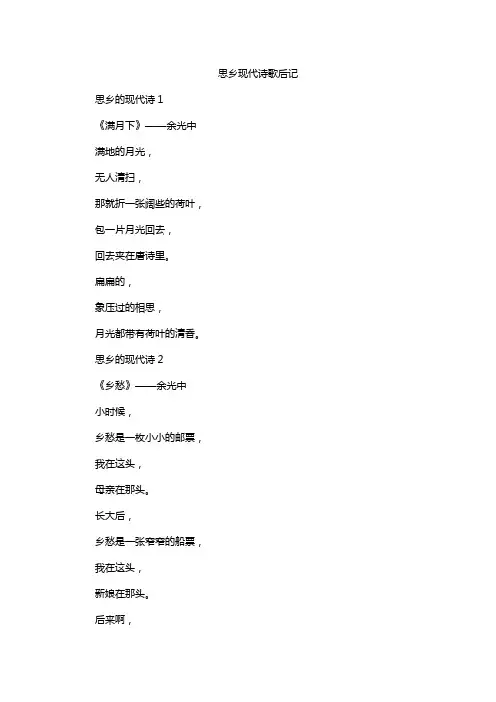 思乡现代诗歌后记
