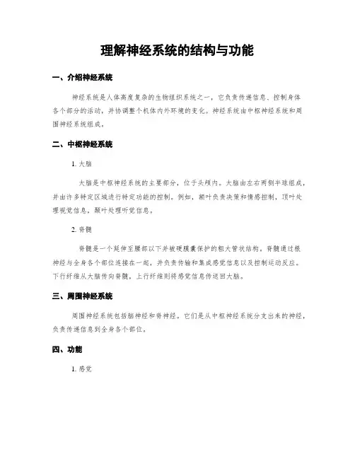 理解神经系统的结构与功能