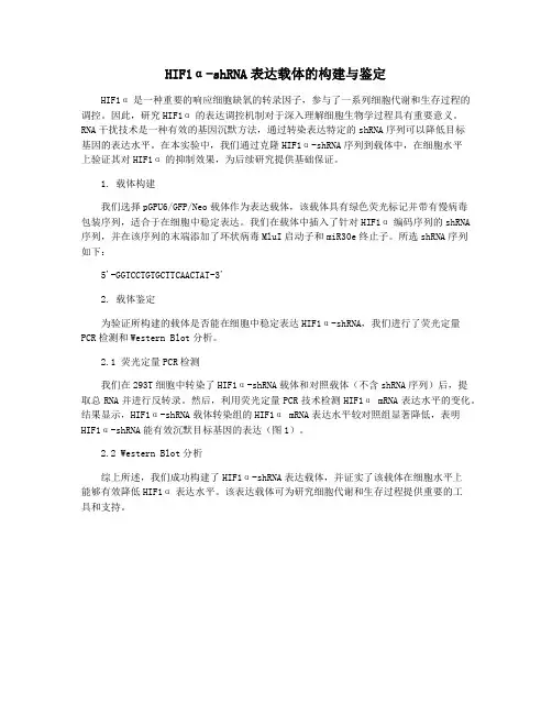 HIF1α-shRNA表达载体的构建与鉴定