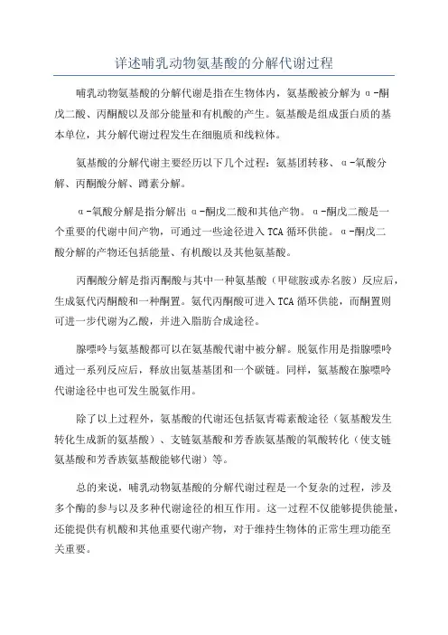 详述哺乳动物氨基酸的分解代谢过程