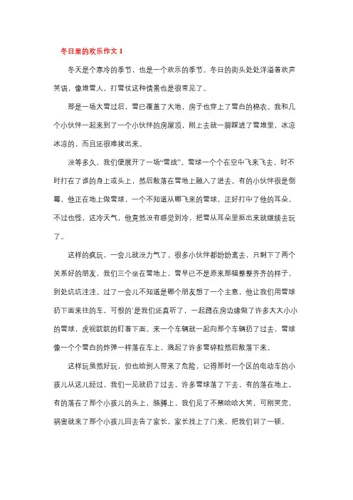 冬日里的快乐作文700字