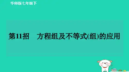 极速提分法方程组及不等式(组)的应用+练习课件+2023-2024学年华东师大版数学七年级下册