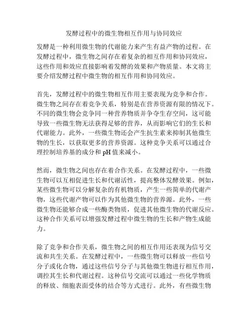 发酵过程中的微生物相互作用与协同效应