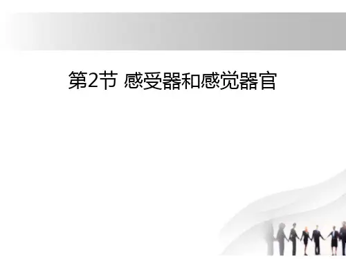 《感受器和感觉器官》(ppt)课件