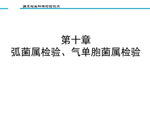 10第十章 弧菌属检验、气单胞菌属检验