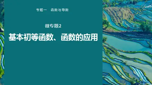 高中数学专题 微专题2 基本初等函数、函数的应用