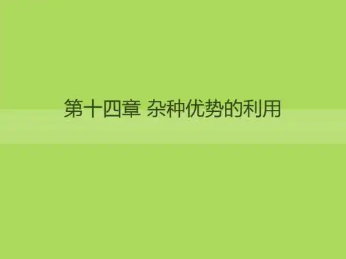 第14章 杂种优势的利用
