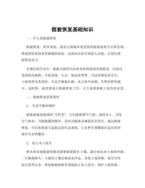 植被恢复基础知识