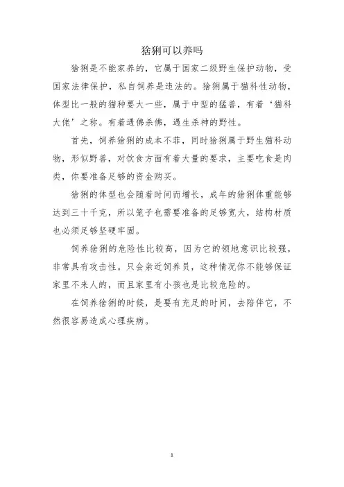 猞猁可以养吗