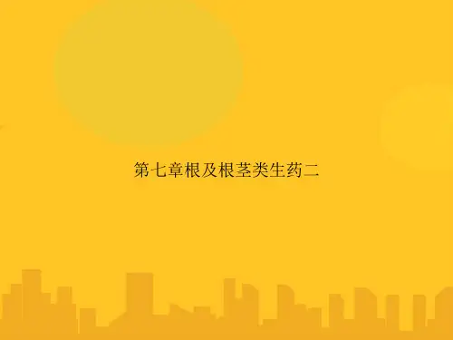 第七章根及根茎类生药二PPT优秀版