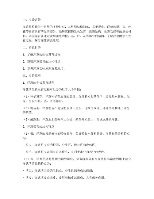 洋葱实验报告实验原理