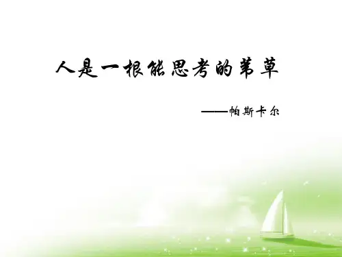 《人是一根能思考的苇草》短文三篇PPT设计